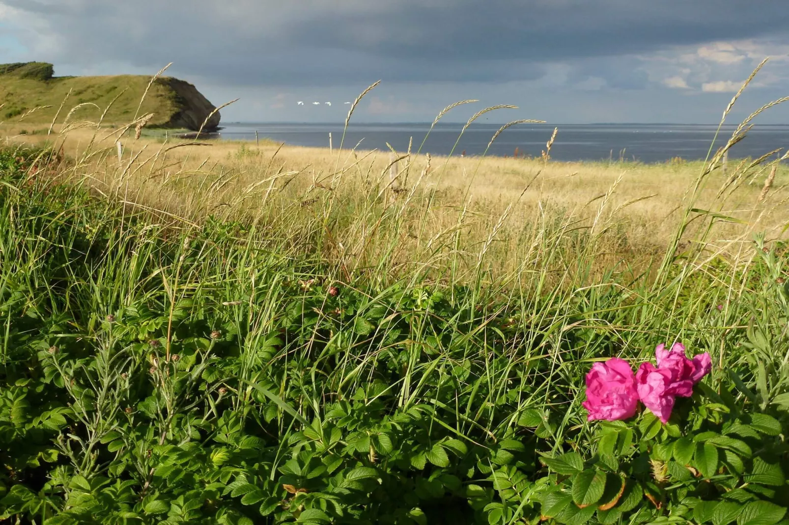 4 persoons vakantie huis in Thisted-By Traum-Niet-getagd