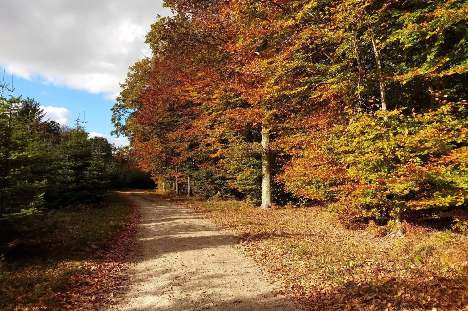 6 persoons vakantie huis in Karrebæksminde