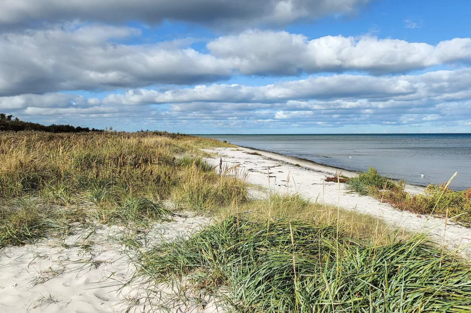 6 persoons vakantie huis in Hadsund-By Traum