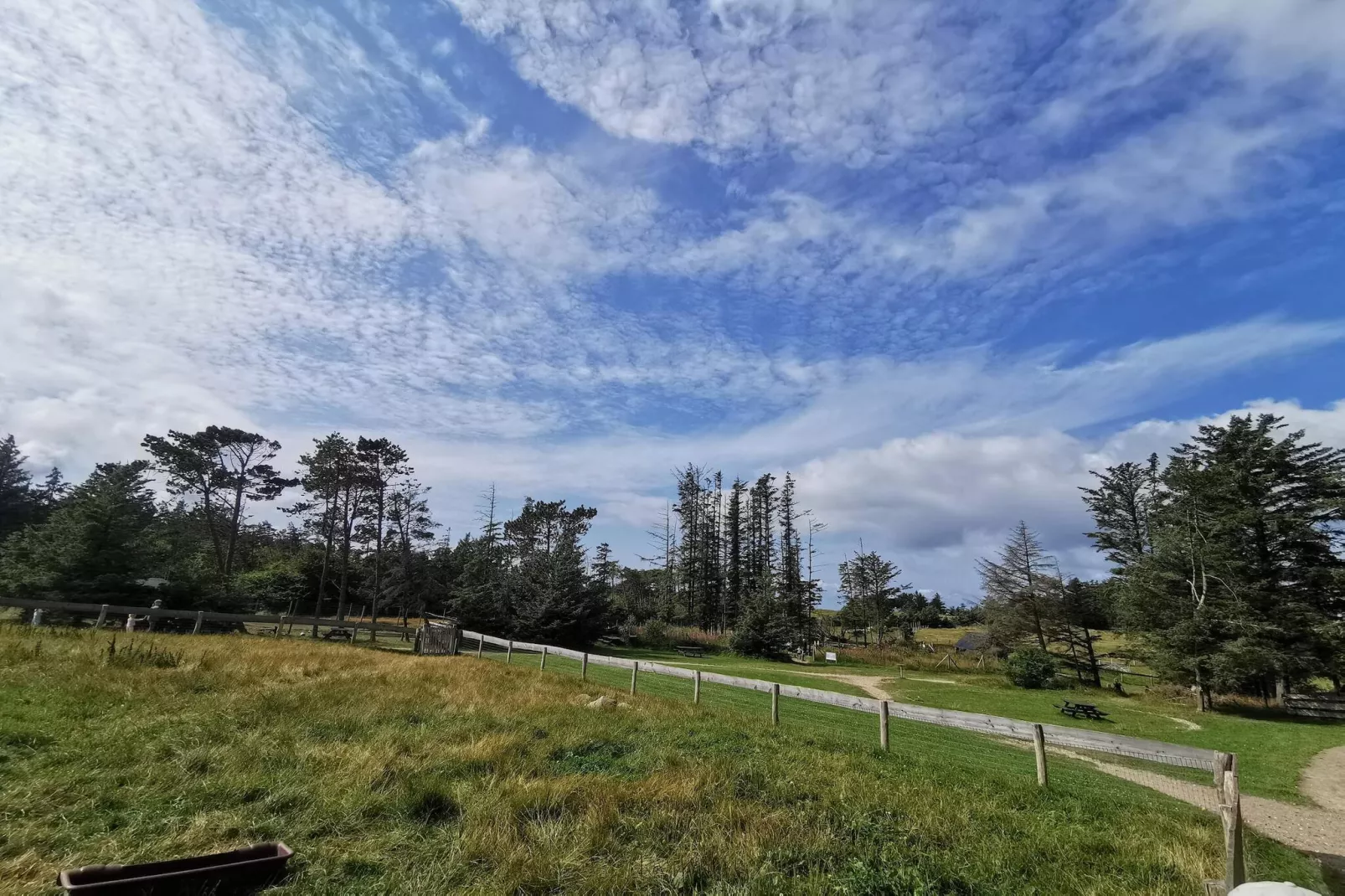 6 persoons vakantie huis in Hjørring