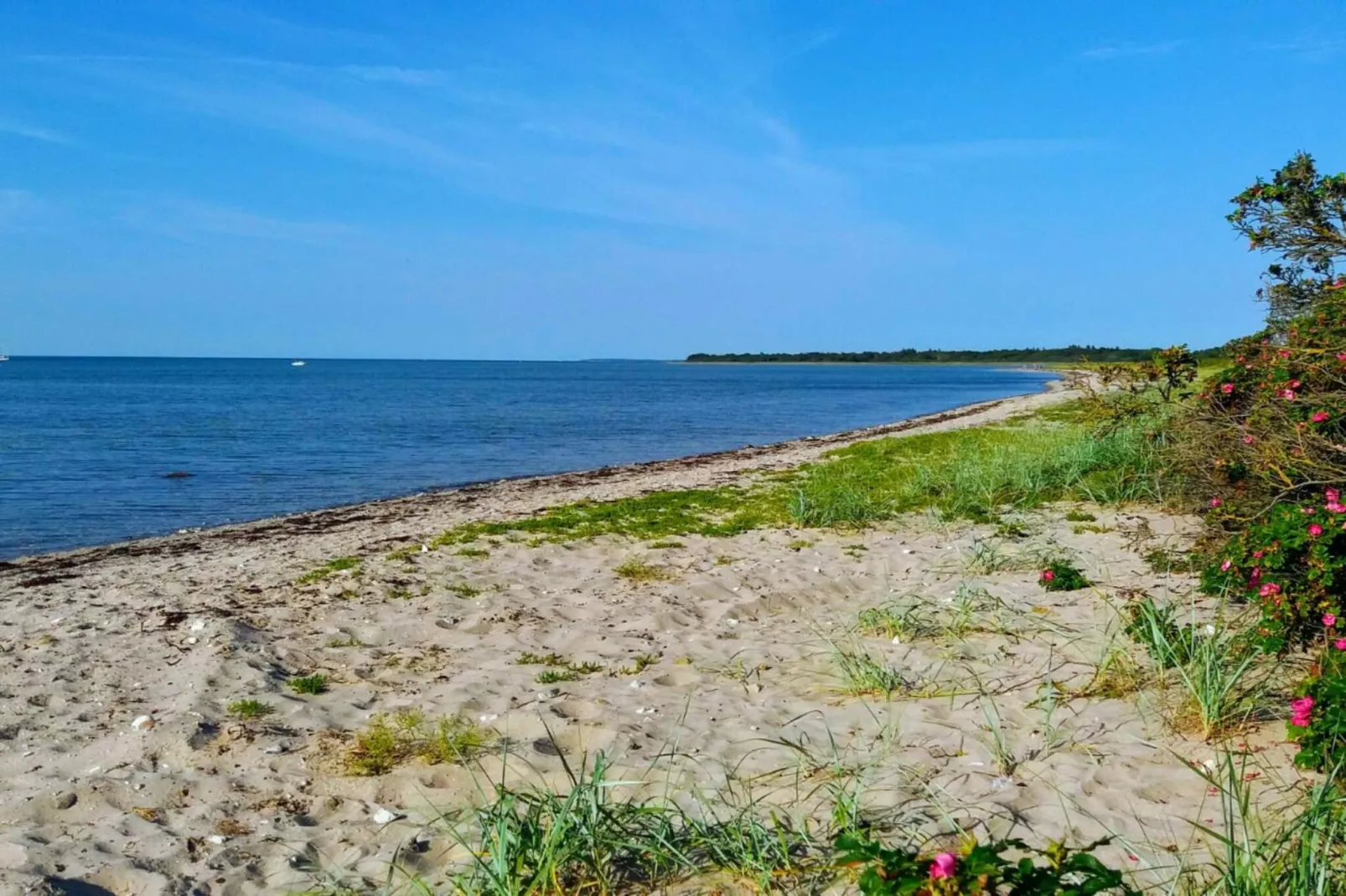 18 persoons vakantie huis in Bogense-Waterzicht