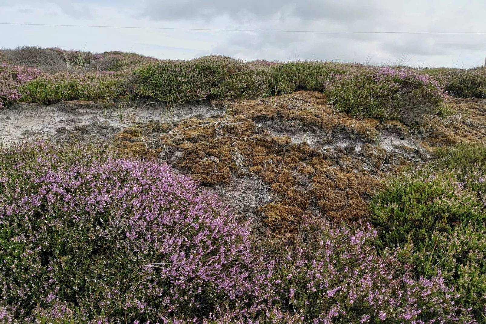 6 persoons vakantie huis in Henne-Niet-getagd