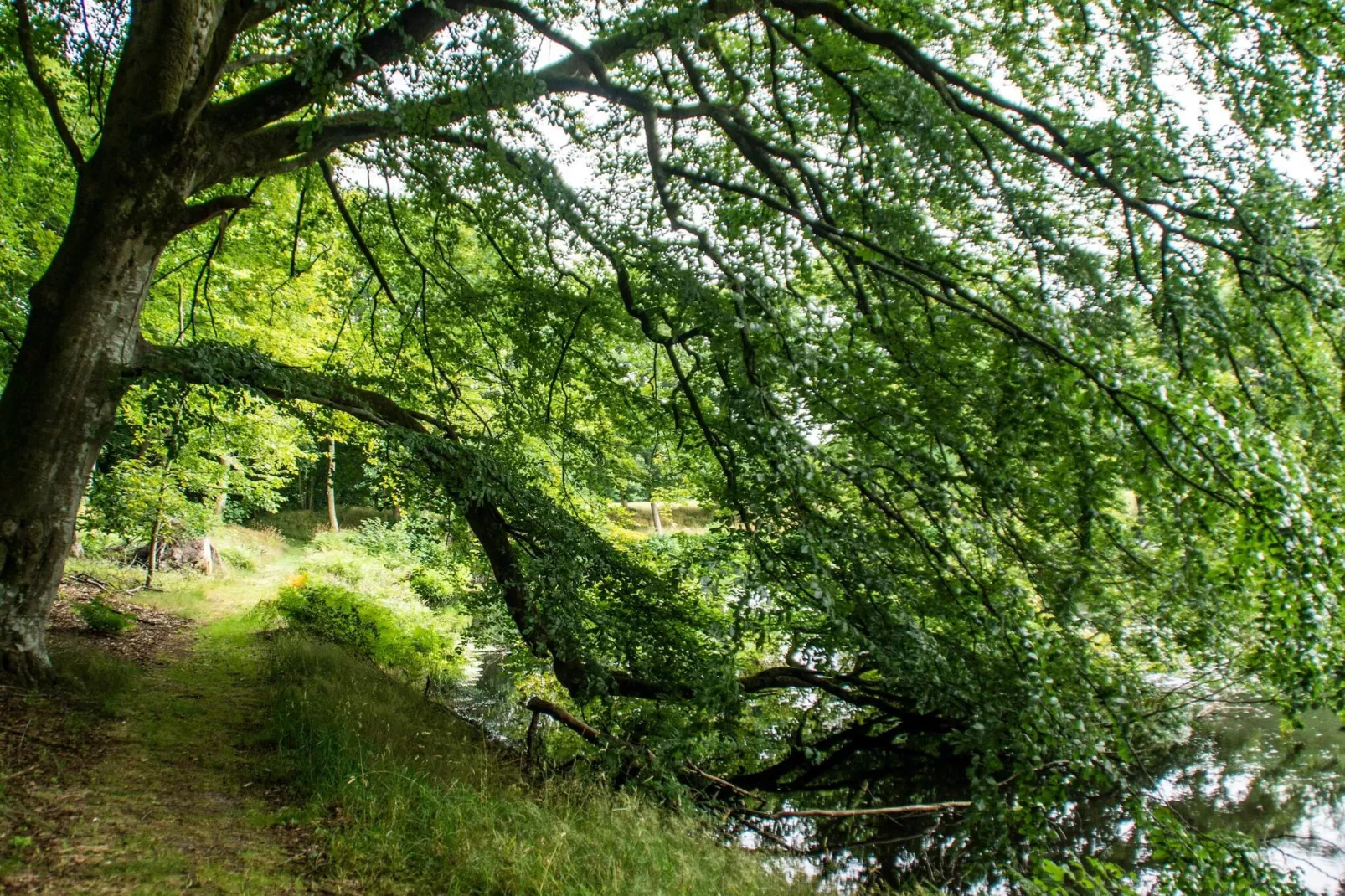 8 persoons vakantie huis in Øster Assels-By Traum-Niet-getagd