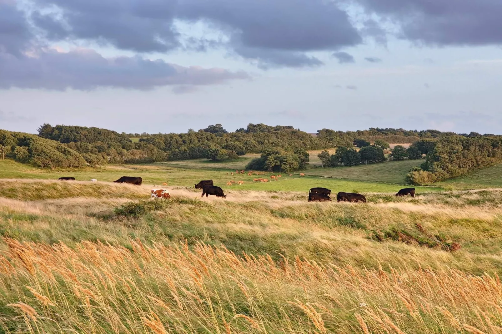 6 persoons vakantie huis in Skals-By Traum-Buitenlucht