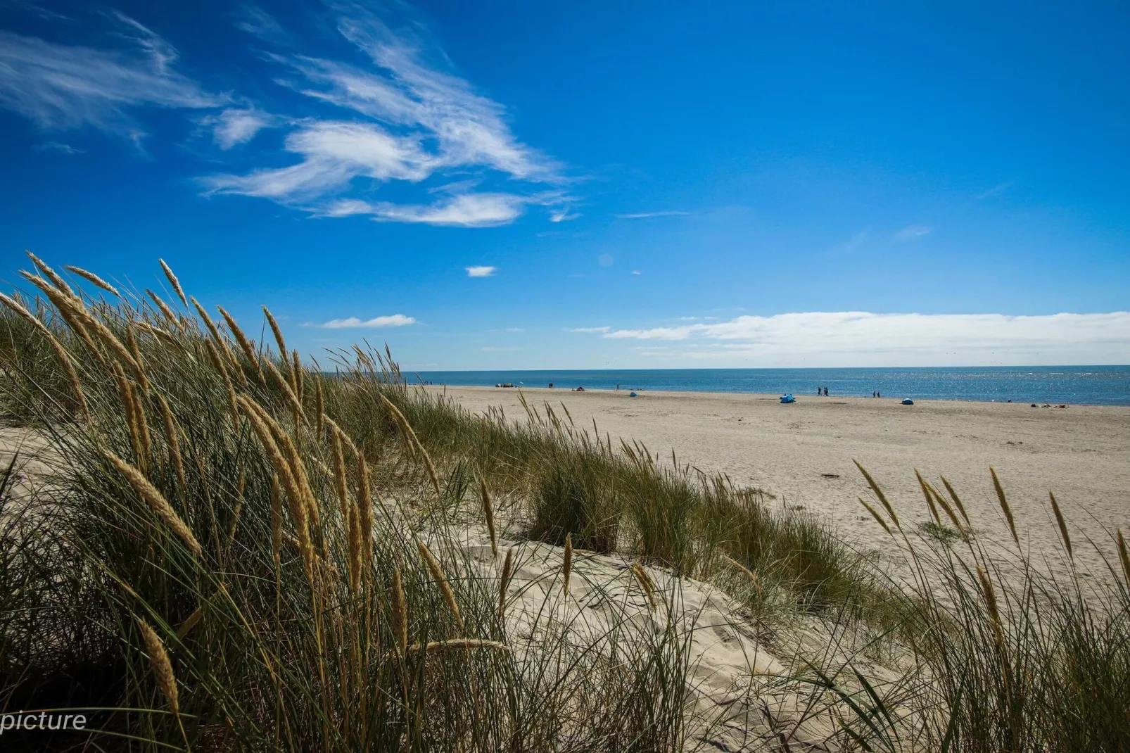 8 persoons vakantie huis in Blåvand-By Traum