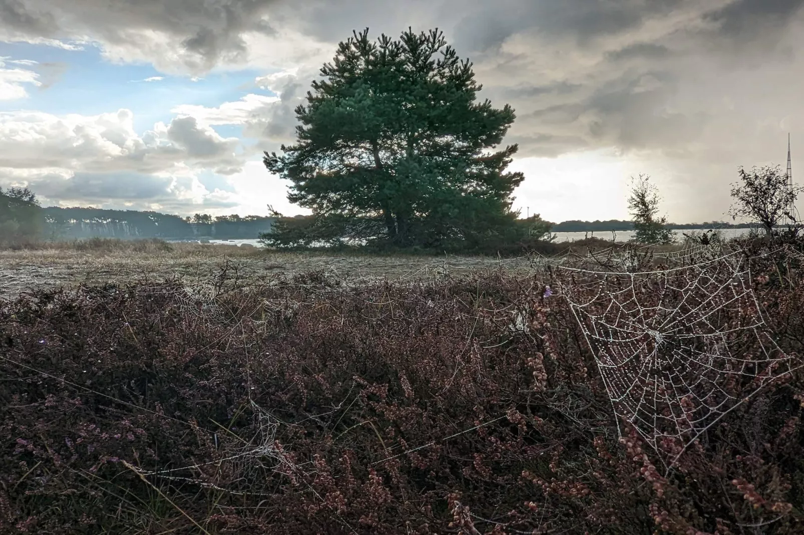 4 sterren vakantie huis in SÖLVESBORG-By Traum-Niet-getagd