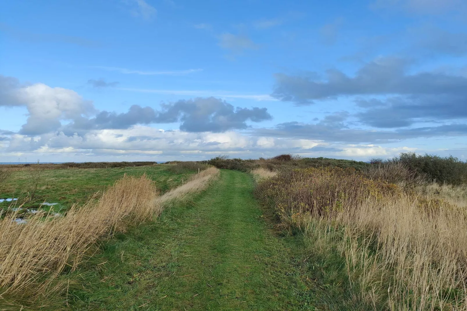 5 sterren vakantie huis in Lemvig-By Traum-Niet-getagd