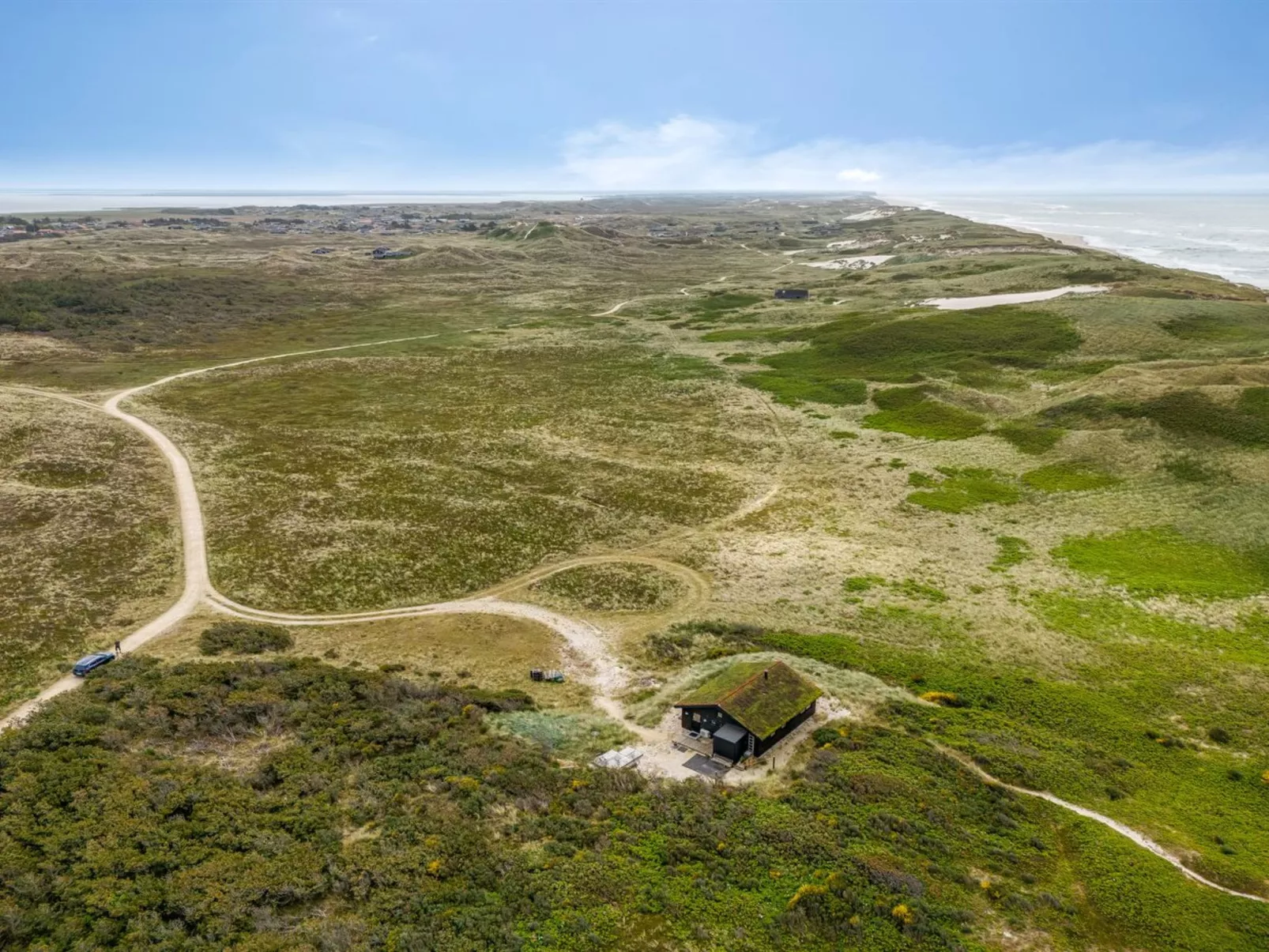 "Apolina" -  from the sea