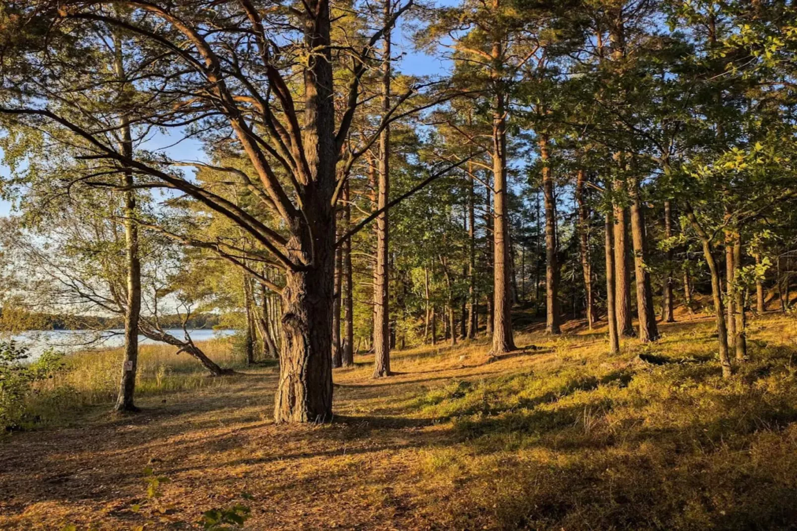 4 sterren vakantie huis in INGARÖ-By Traum - Niet-getagd