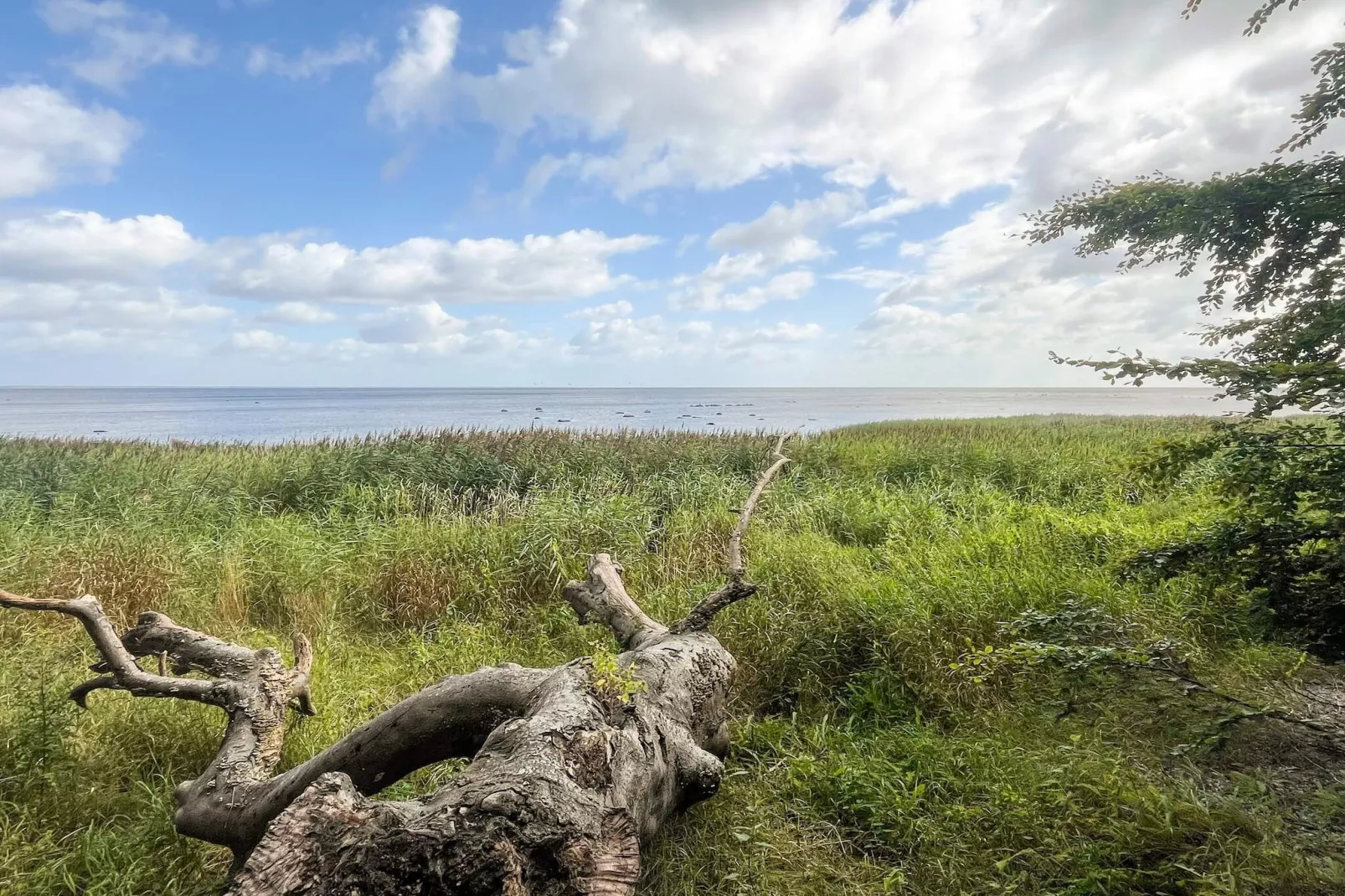 9 persoons vakantie huis in Præstø-By Traum