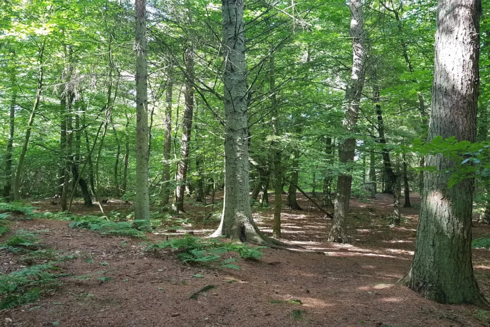 4 sterren vakantie huis in Thisted-By Traum-Niet-getagd