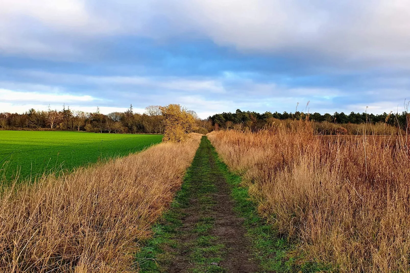 4 sterren vakantie huis in Grenaa-By Traum