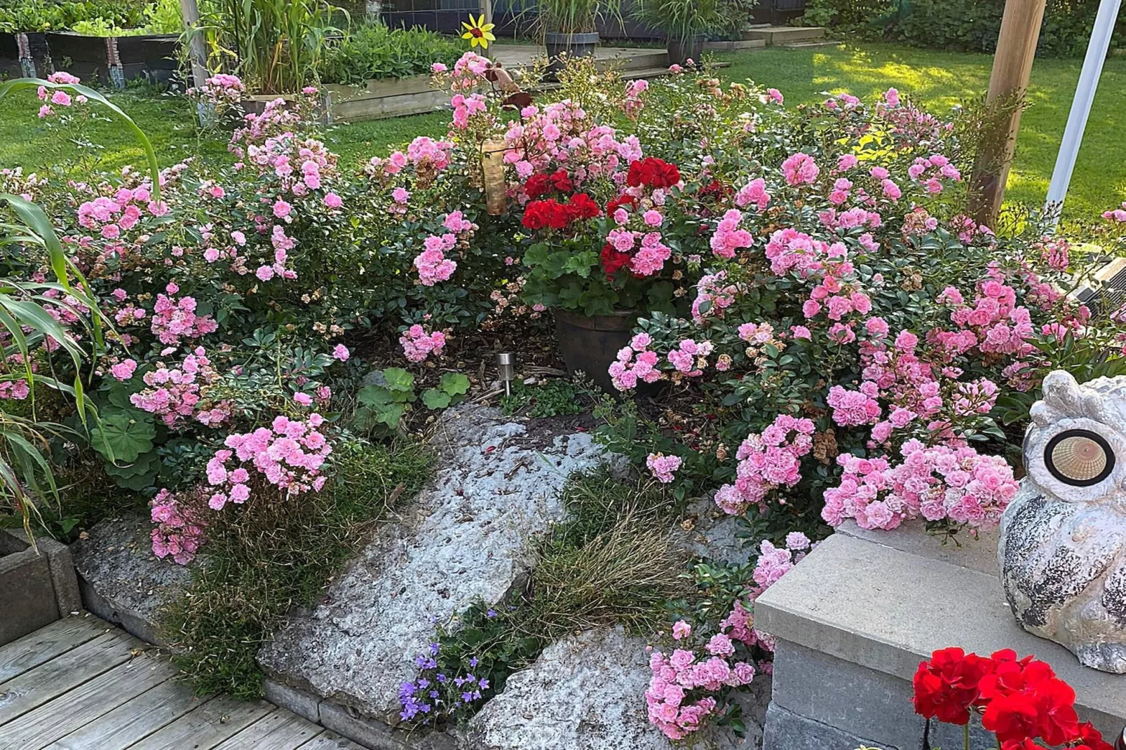 6 persoons vakantie huis in HÄLLEKIS-Buitenlucht