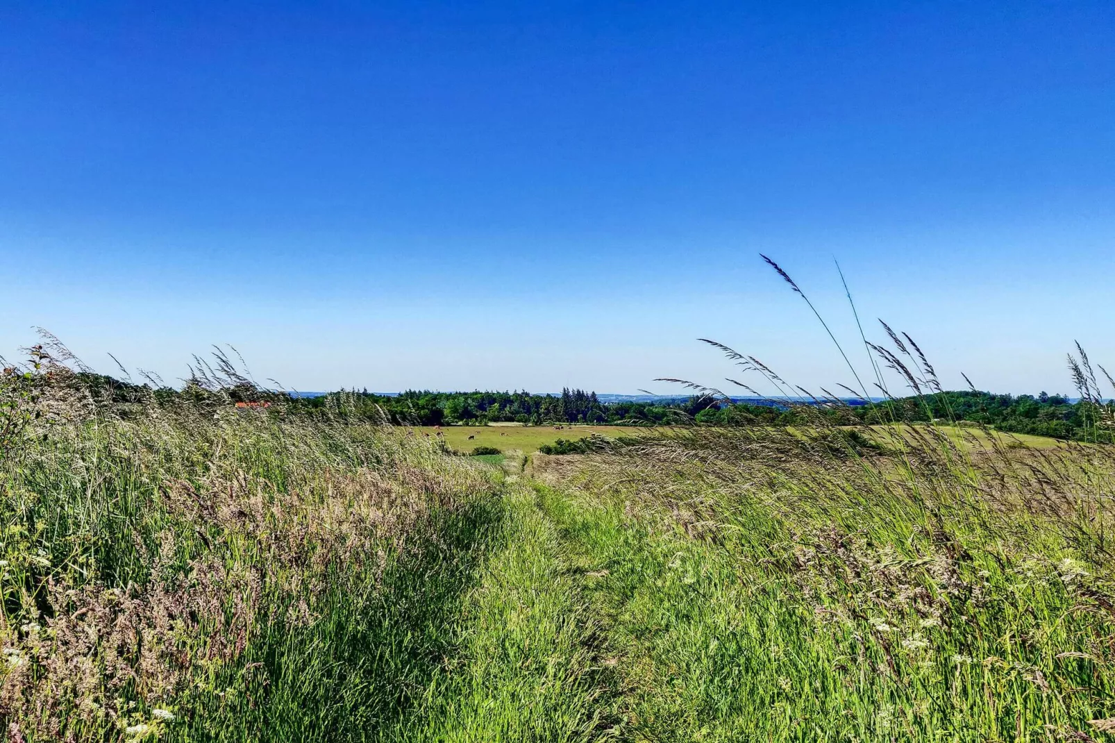 4 persoons vakantie huis in Millinge-By Traum