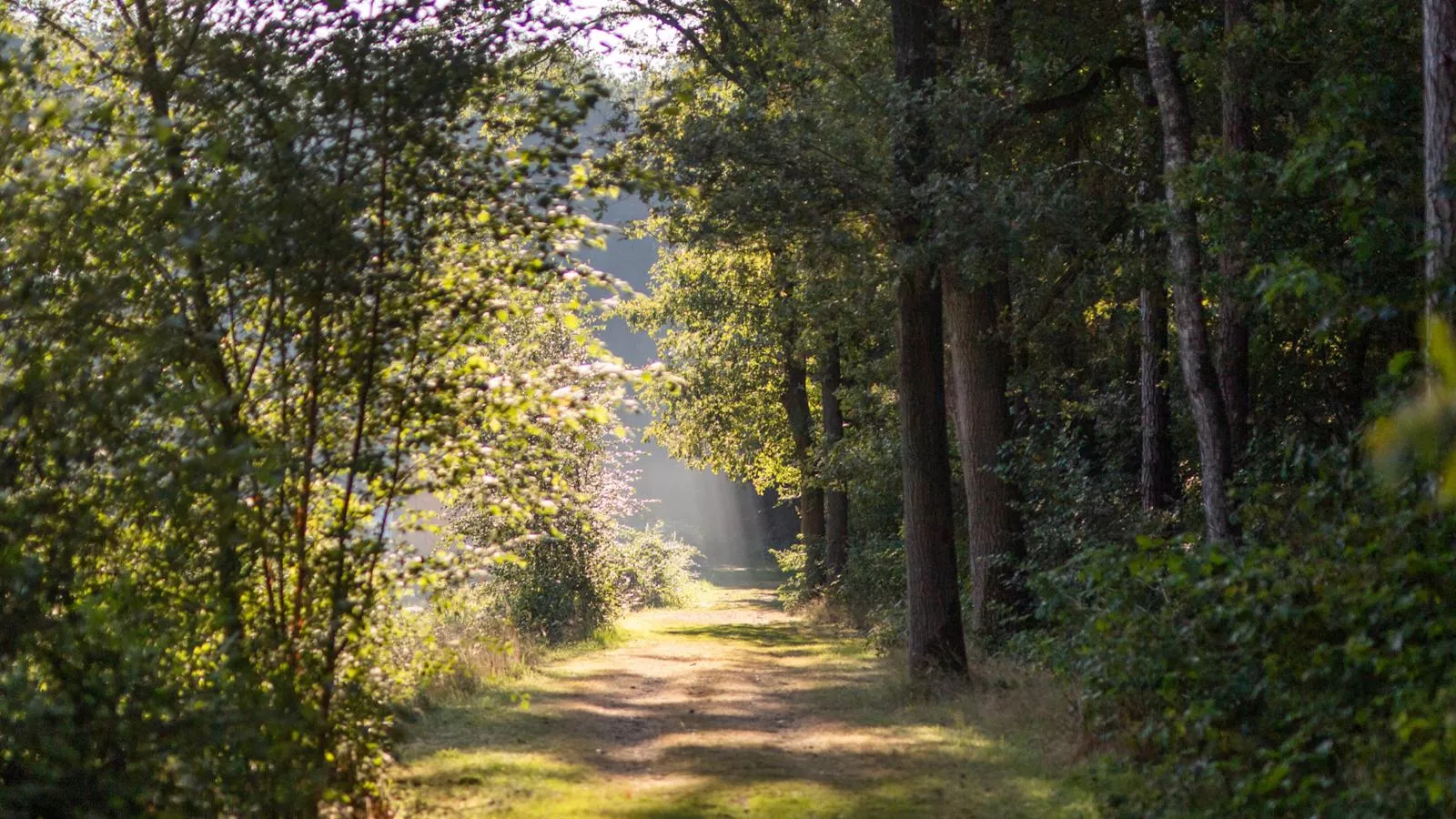 Safaritent 7-Gebieden zomer 5km