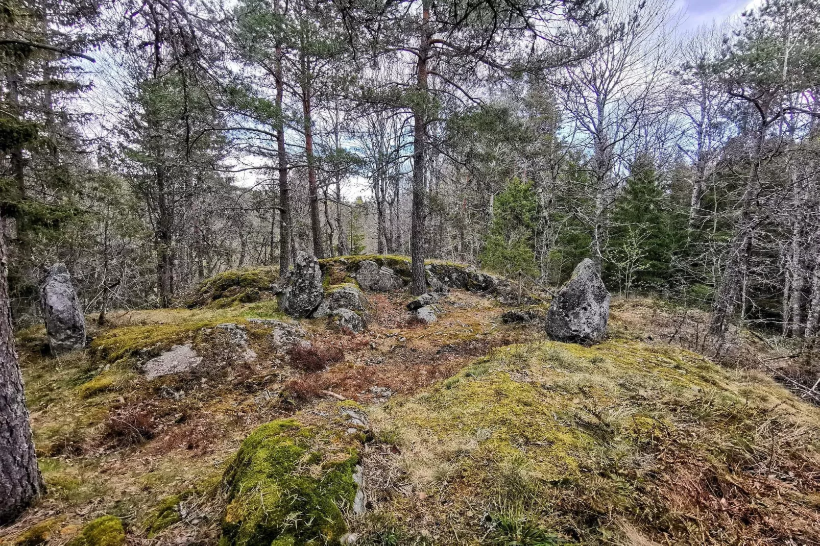 4 persoons vakantie huis in DALS ROSTOCK-Niet-getagd