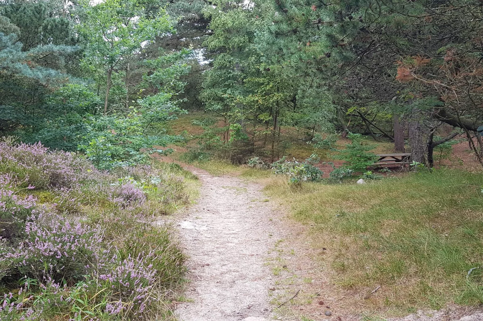 5 sterren vakantie huis in Rømø-Buitenlucht