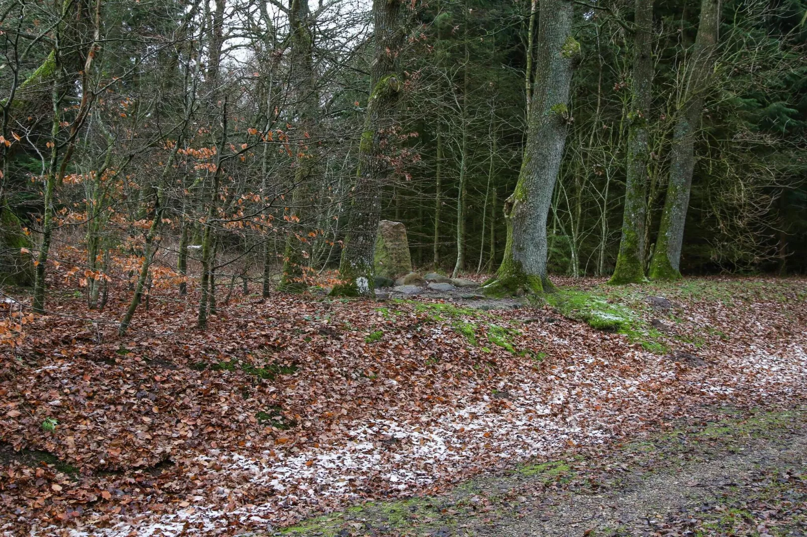 6 Personen vakantie huis in Give-By Traum