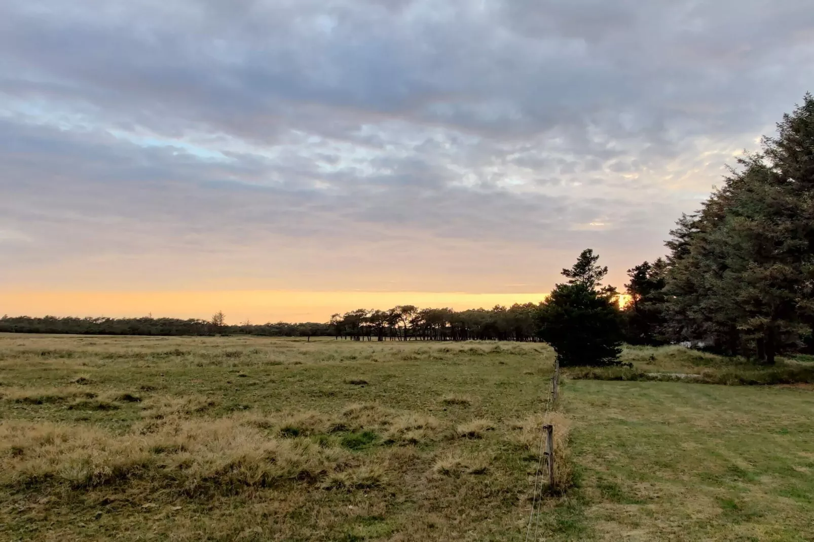 5 sterren vakantie huis in Vejers Strand-Niet-getagd