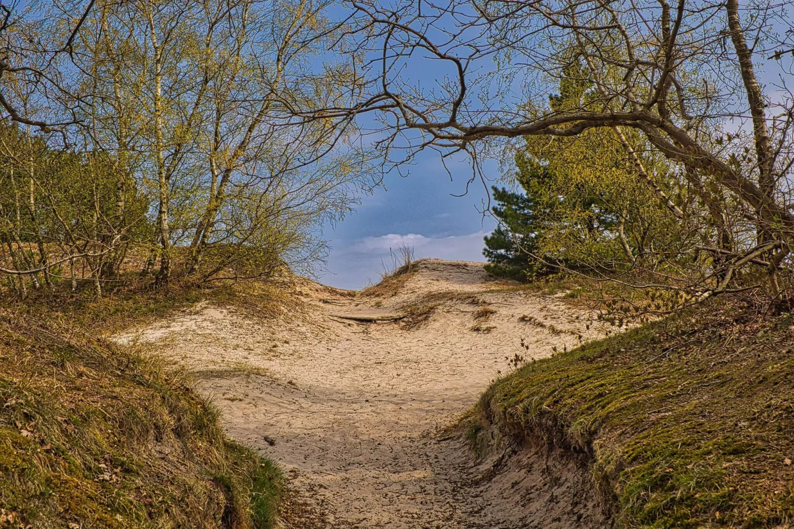 4 sterren vakantie huis in Børkop-Niet-getagd