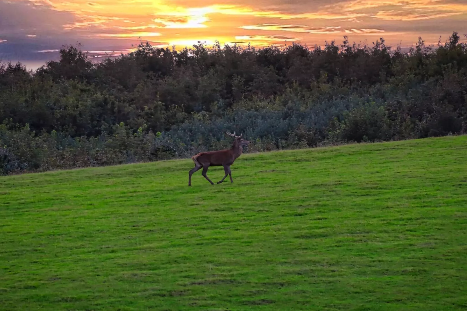 6 Personen vakantie huis in Haderslev