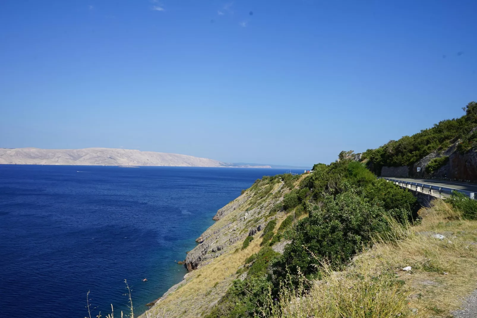 Niko 1-Gebieden zomer 1km