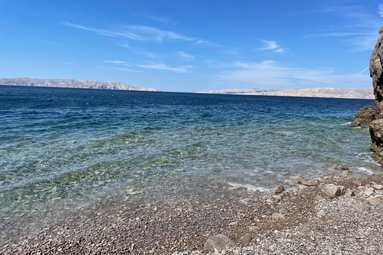 Niko 3-Gebieden zomer 1km