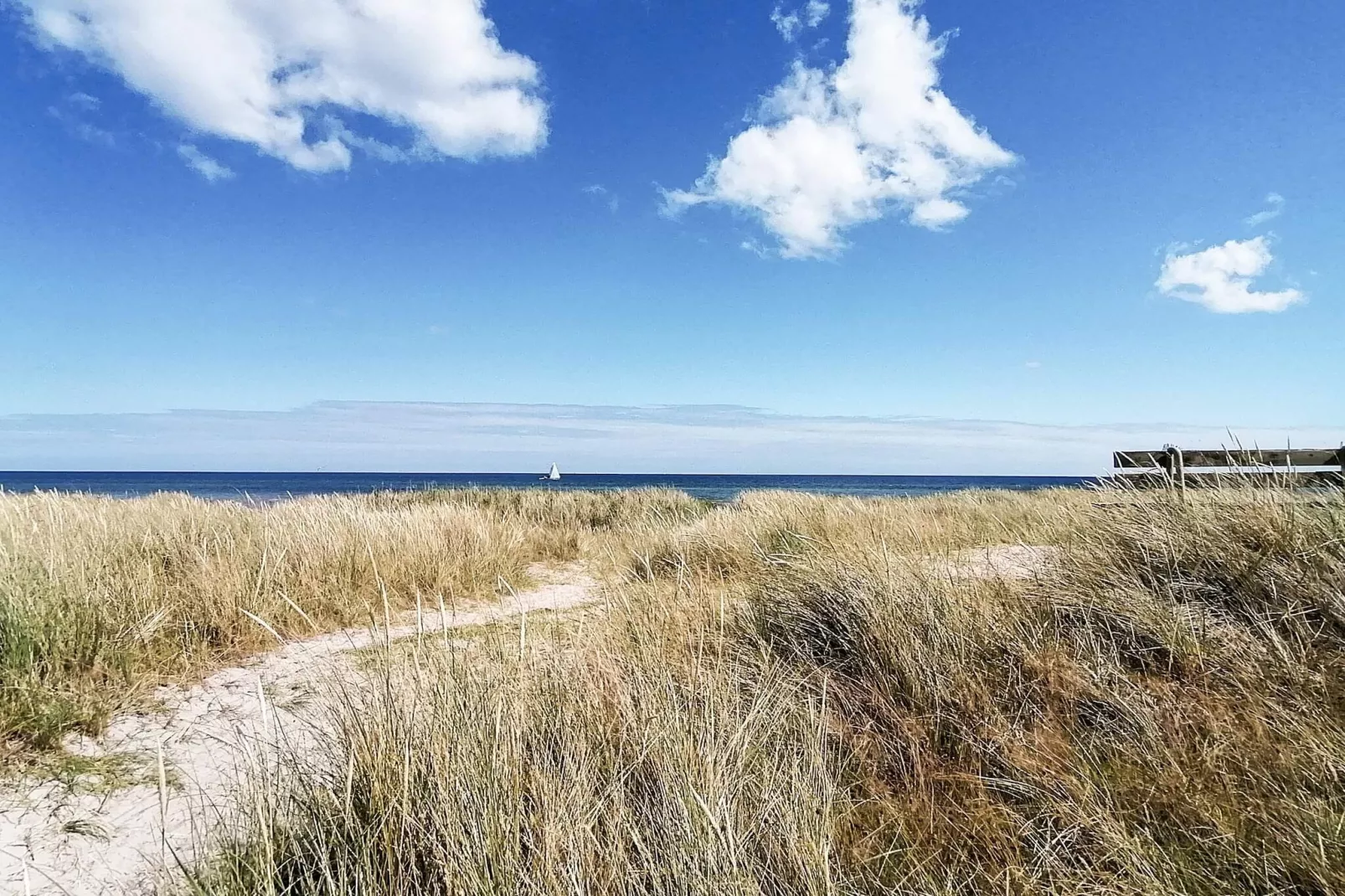 4 sterren vakantie huis in Hals-Buitenlucht