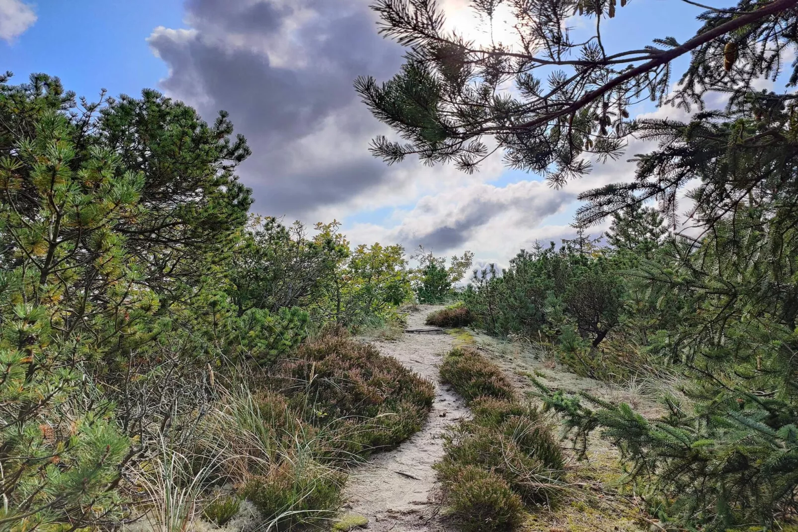 5 Personen vakantie huis in Snedsted-Niet-getagd