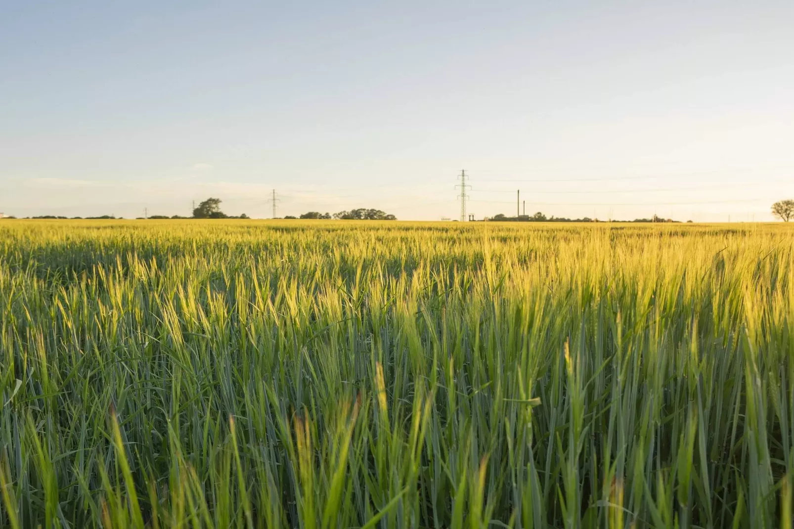 5 sterren vakantie huis in Køge-Niet-getagd