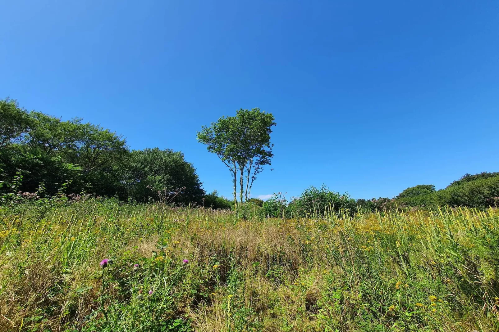 4 sterren vakantie huis in Bagenkop-Niet-getagd