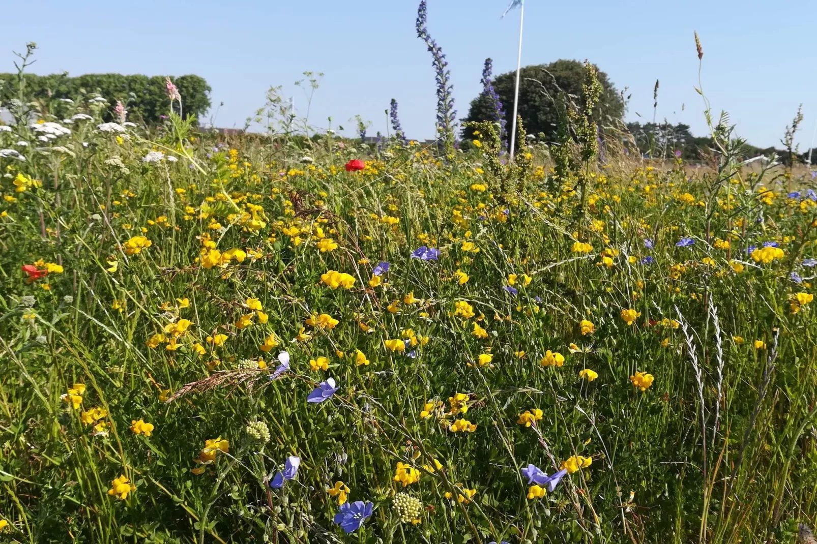 5 Personen vakantie huis in Nakskov-Niet-getagd