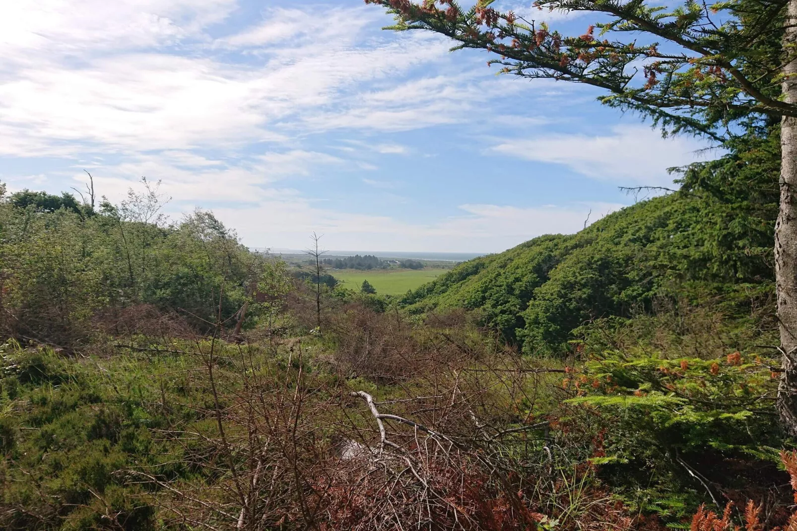 4 sterren vakantie huis in Brovst-Niet-getagd
