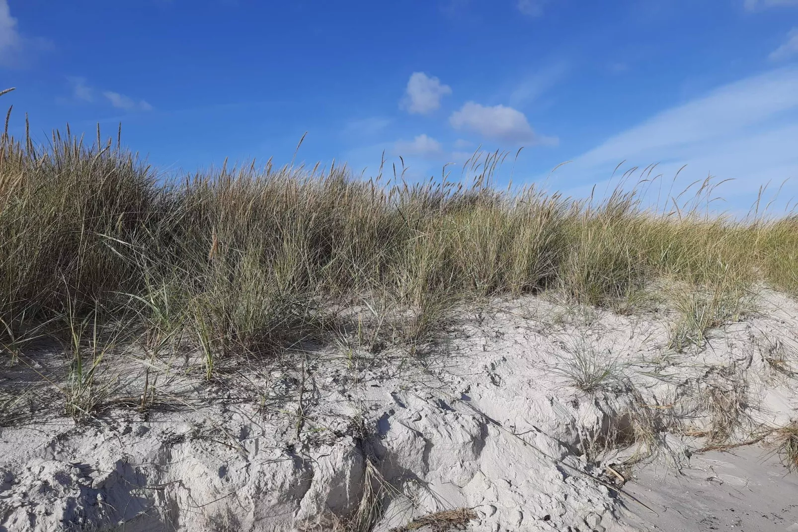 6 Personen vakantie huis in Hadsund