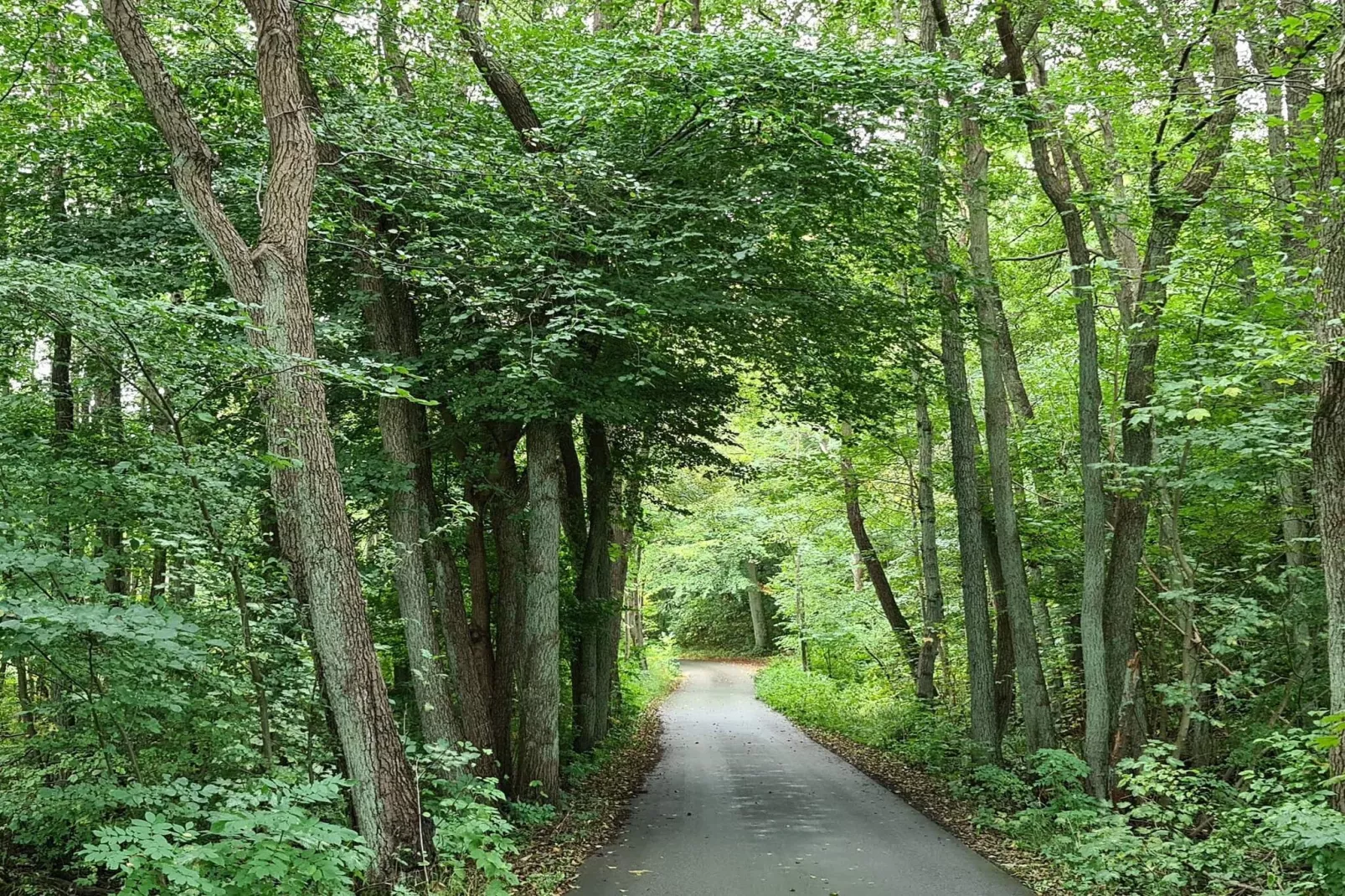 4 sterren vakantie huis in Jægerspris-Niet-getagd