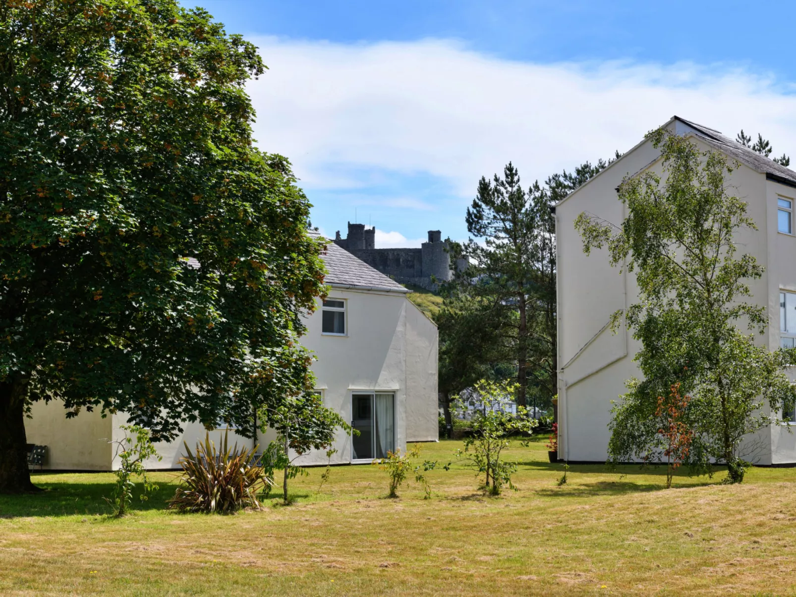 Golygfa o'r Castell - Castle Views