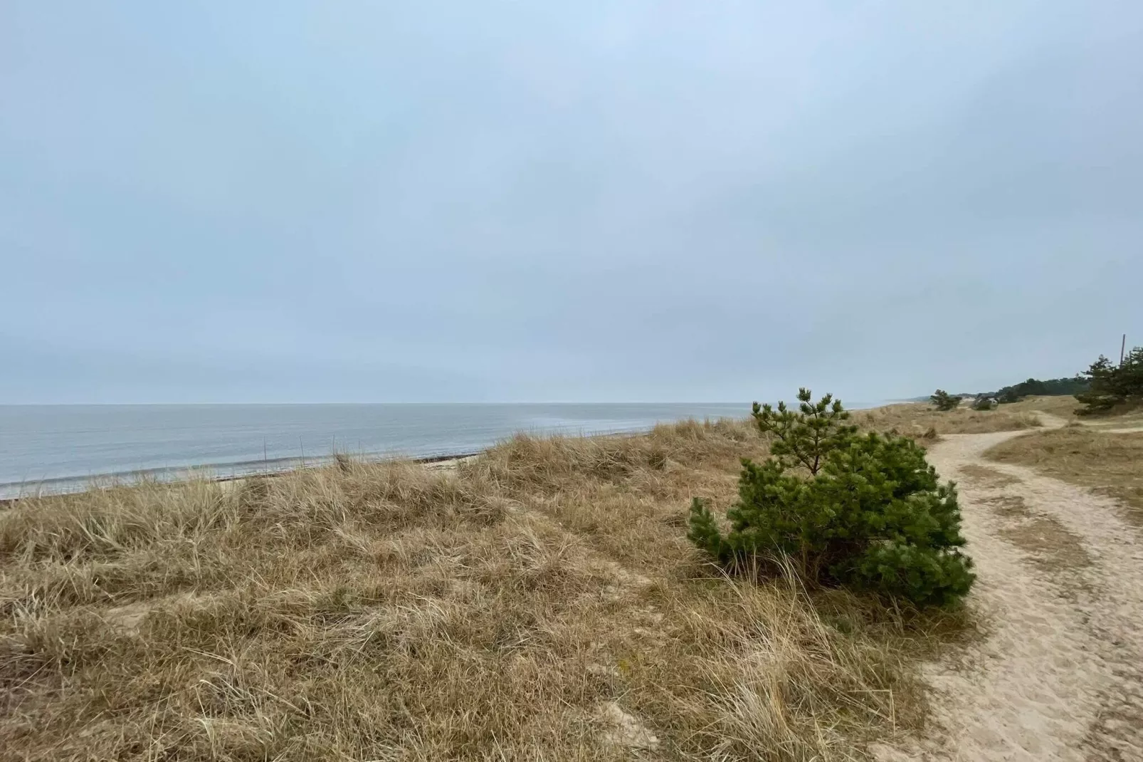 11 persoons vakantie huis in BRÖSARP-Binnen