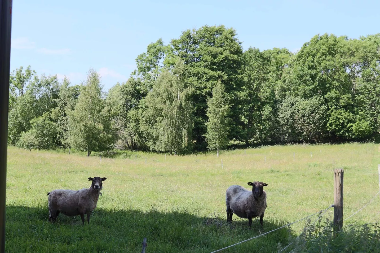 4 persoons vakantie huis in ROLFSTORP-Niet-getagd