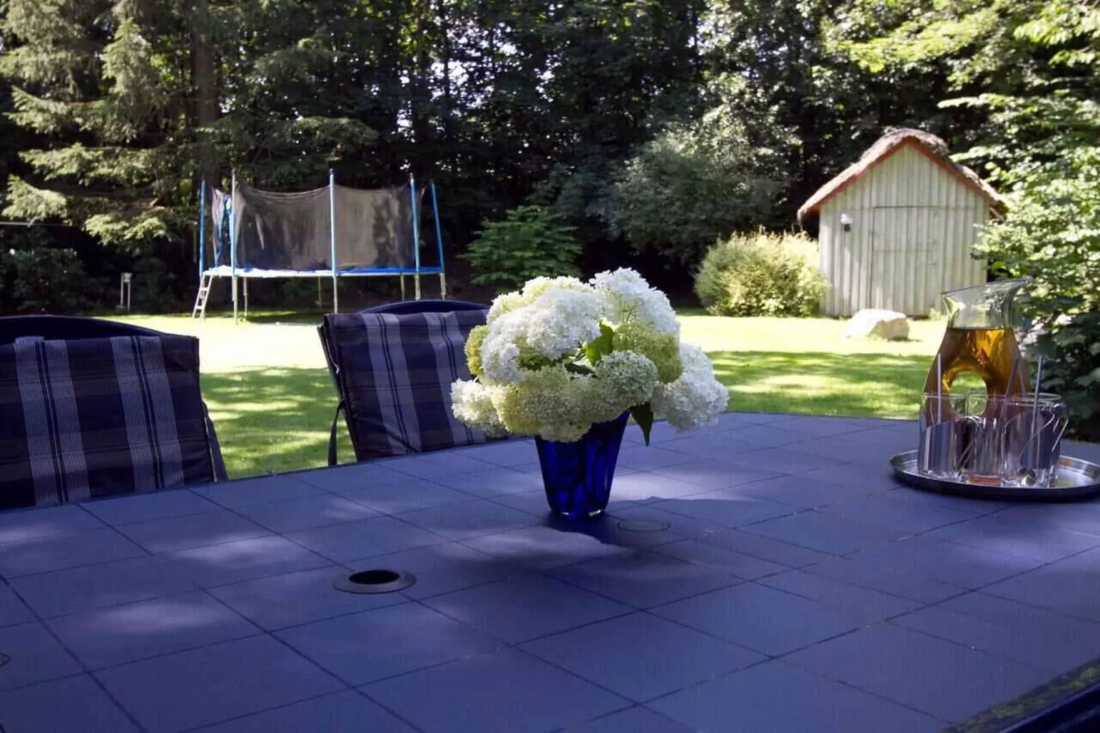 5 sterren vakantie huis in Give