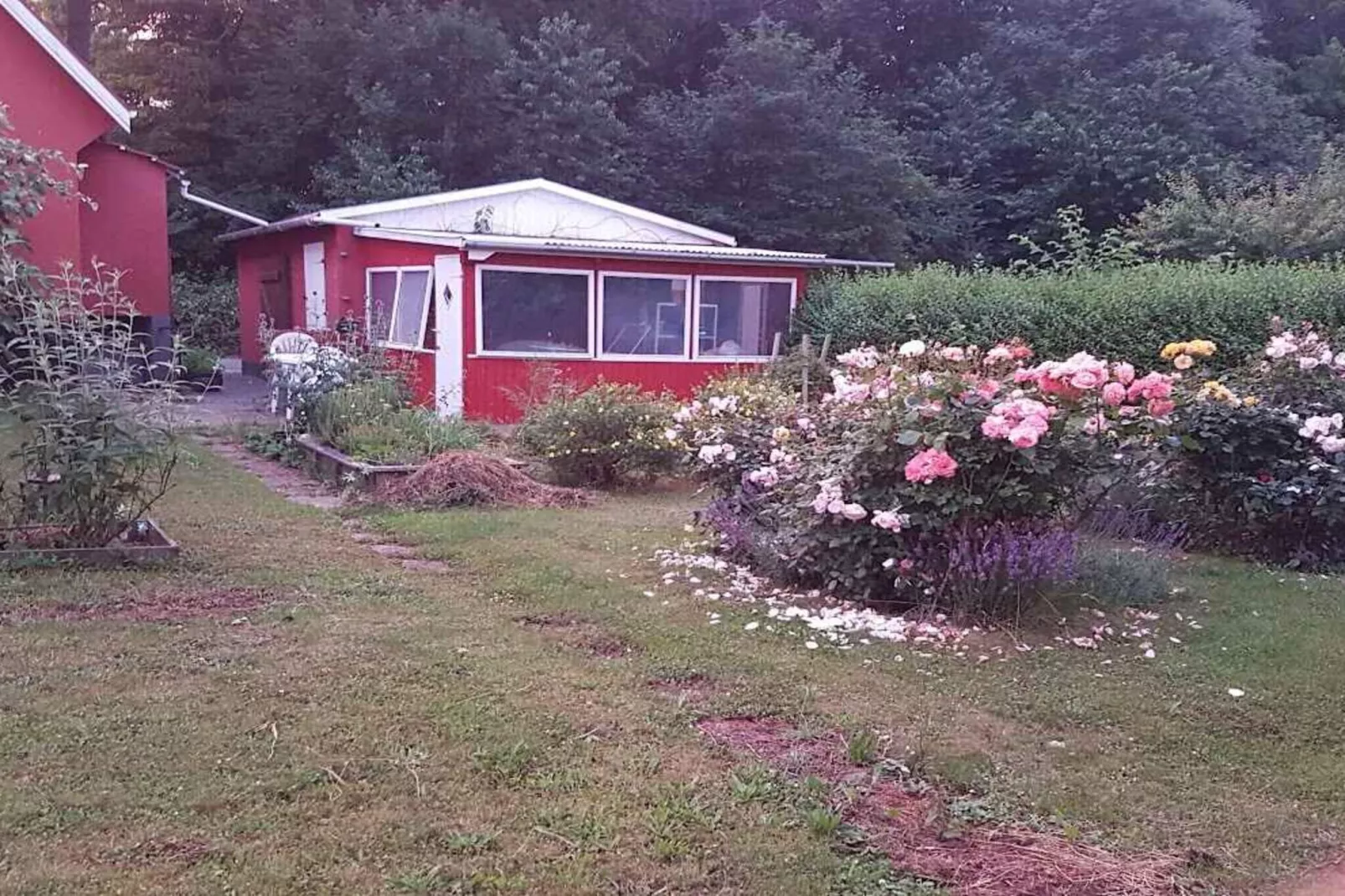 5 sterren vakantie huis in Svaneke