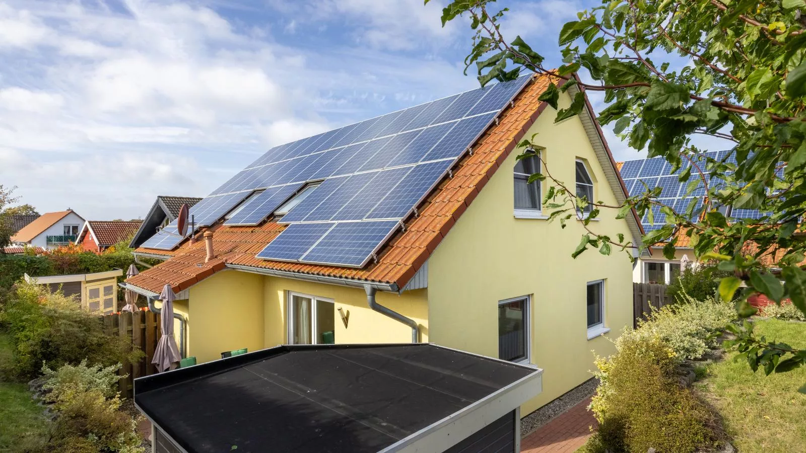 Windflüchter rechts