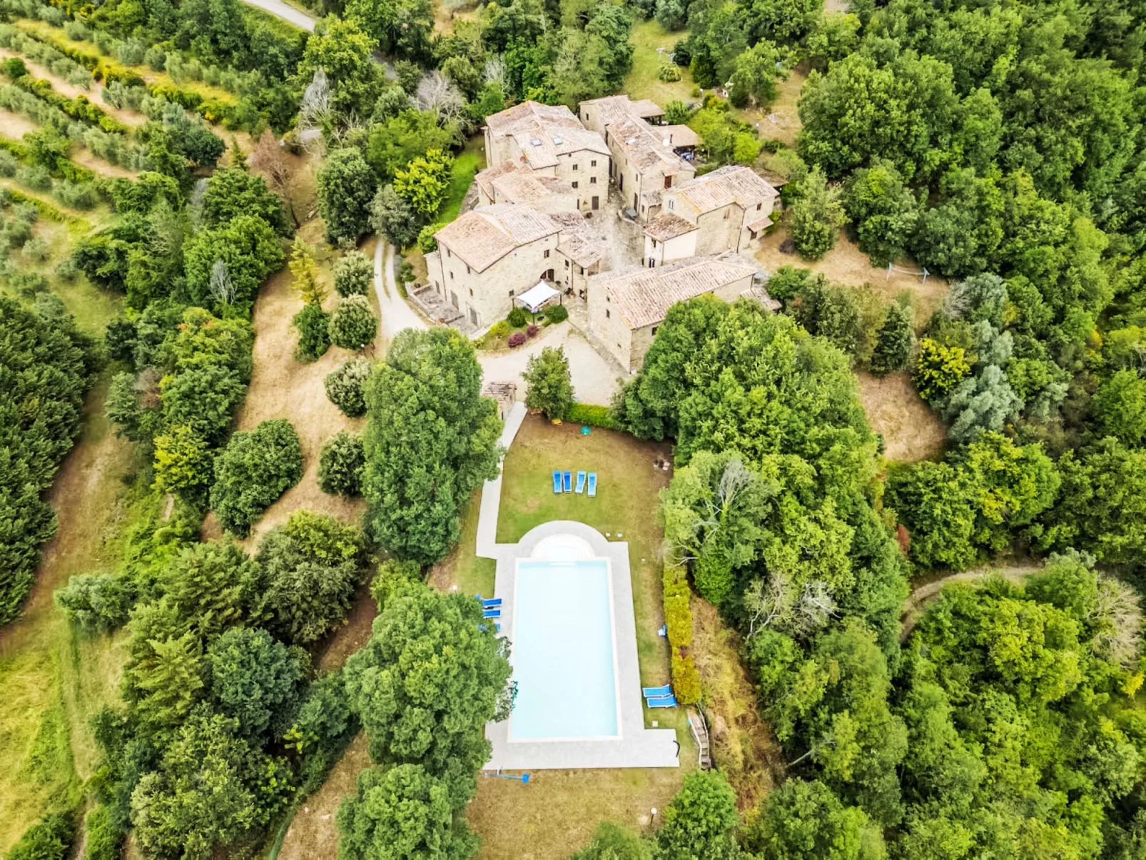 Il Frassino del Borgo di Ghiora