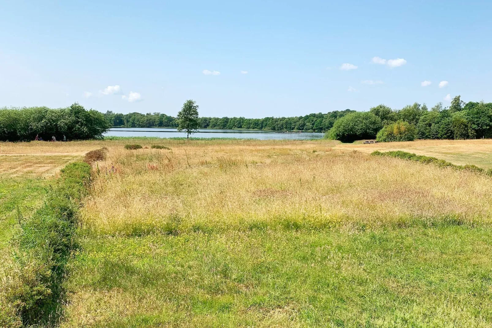 6 persoons vakantie huis in Ansager-By Traum-Uitzicht