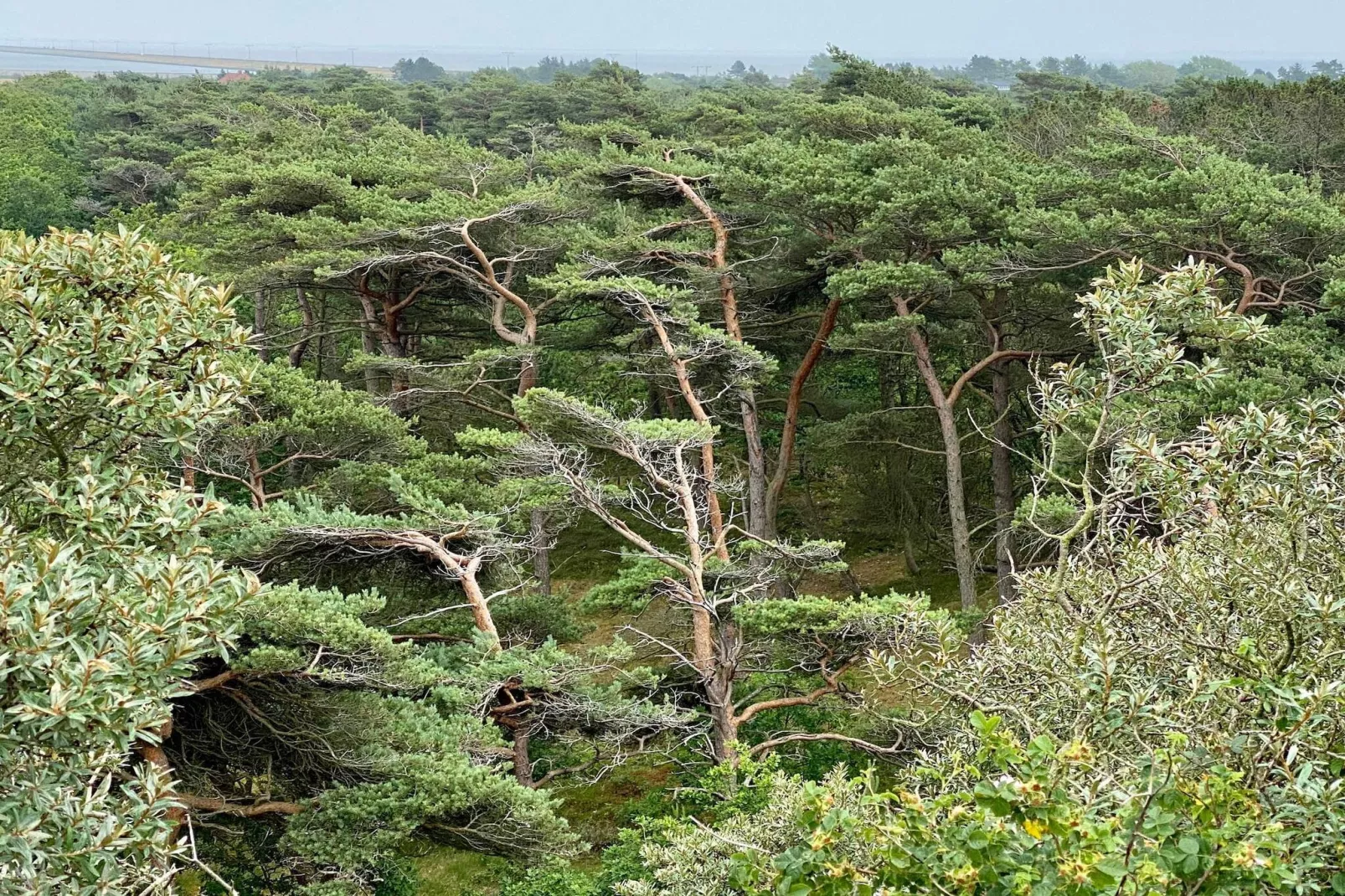 Rustig toevluchtsoord in Bolilmark-By Traum