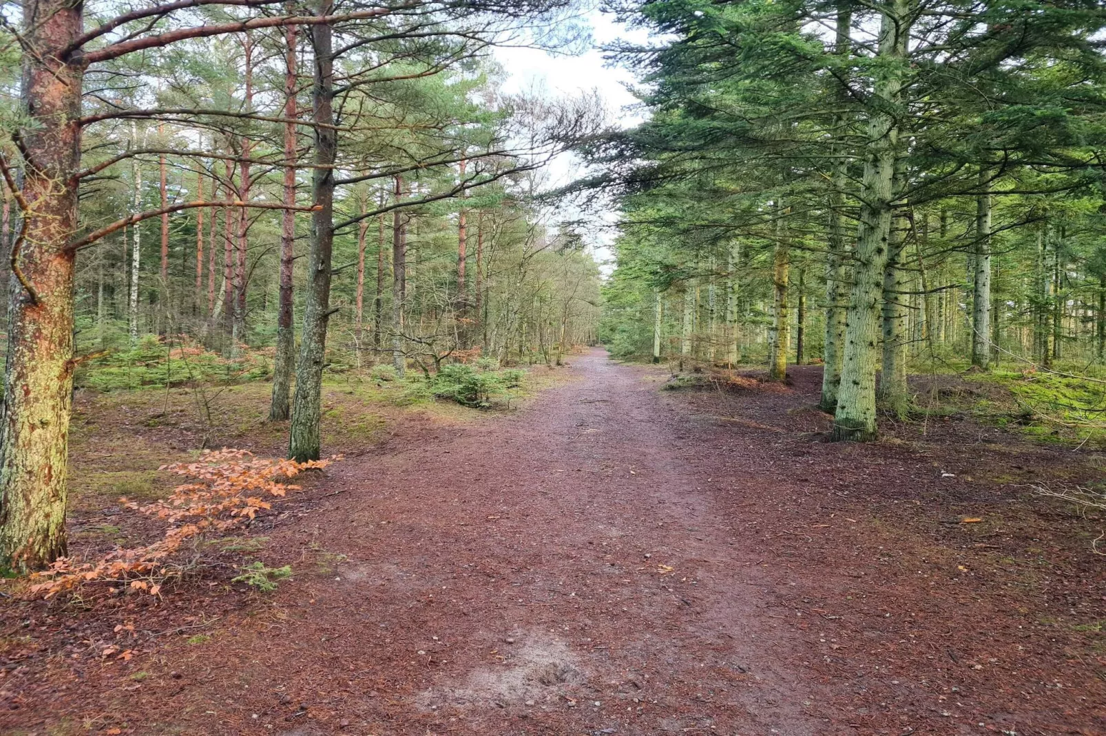 Idyllisch strandverblijf in Albaek-Niet-getagd