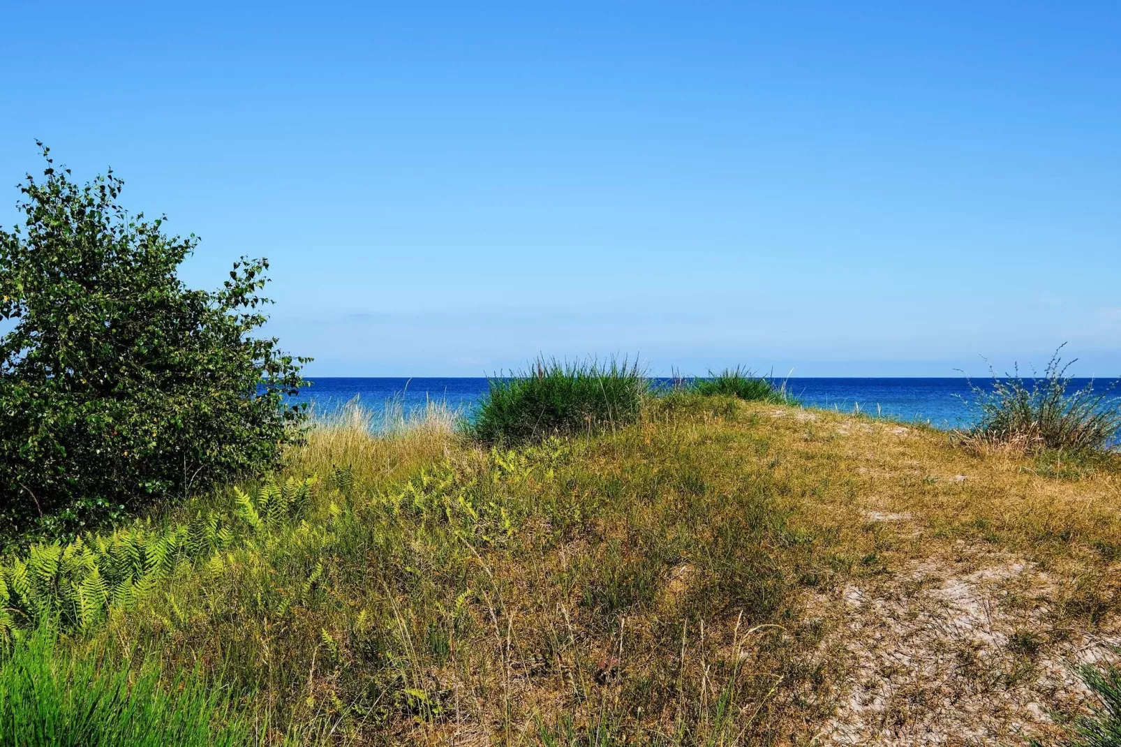 8 persoons vakantie huis in Væggerløse