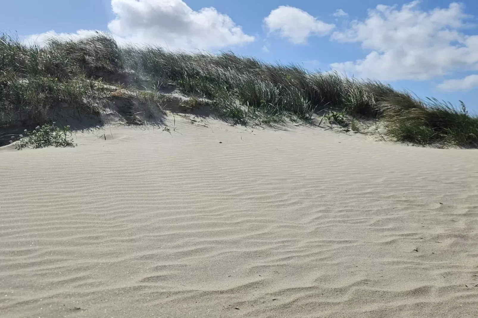 6 persoons vakantie huis in Fanø-Niet-getagd