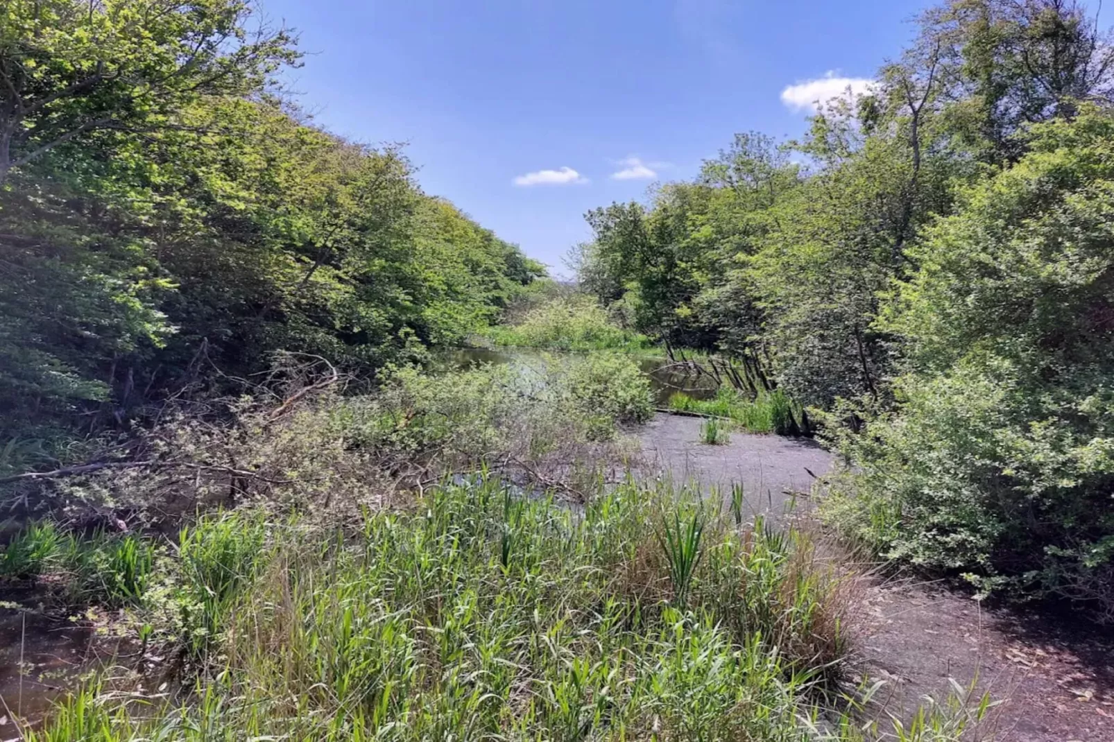Betoverende toevluchtsoord in Henne Stad-By Traum