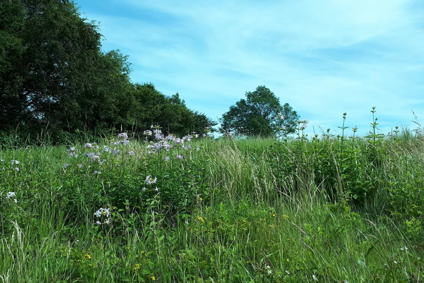 5 persoons vakantie huis in Holeby-Niet-getagd