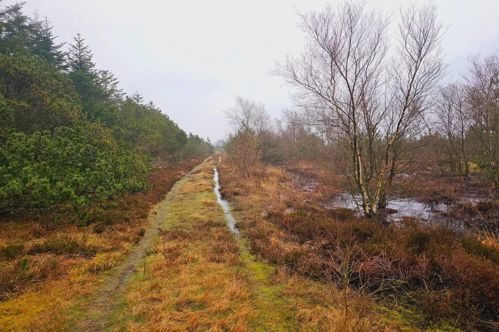 6 persoons vakantie huis in Nørre Nebel